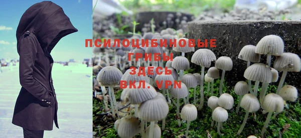 гидропоника Абаза
