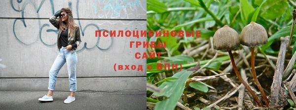 прущие крисы Абдулино