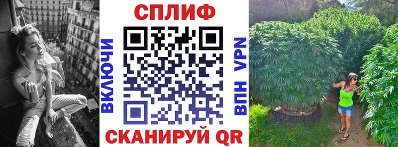 купить наркоту  Подпорожье  МАРИХУАНА сатива 